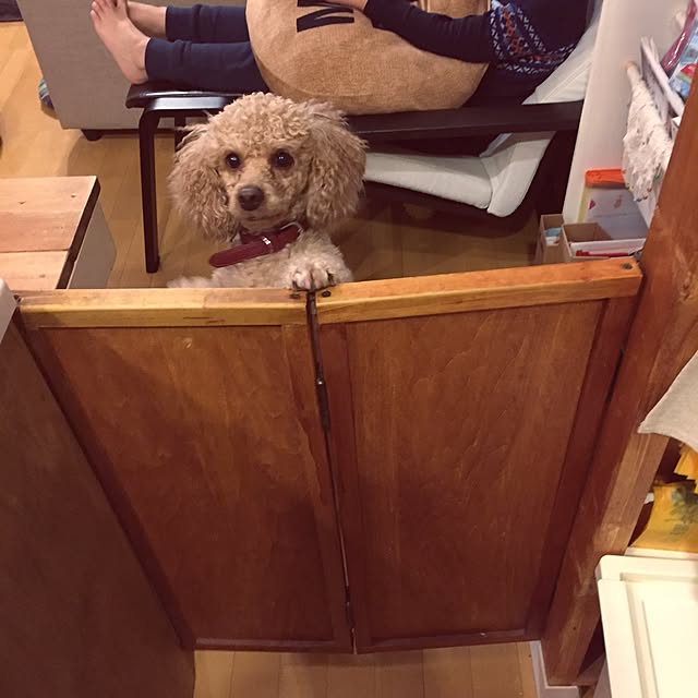 viviさんの実例写真