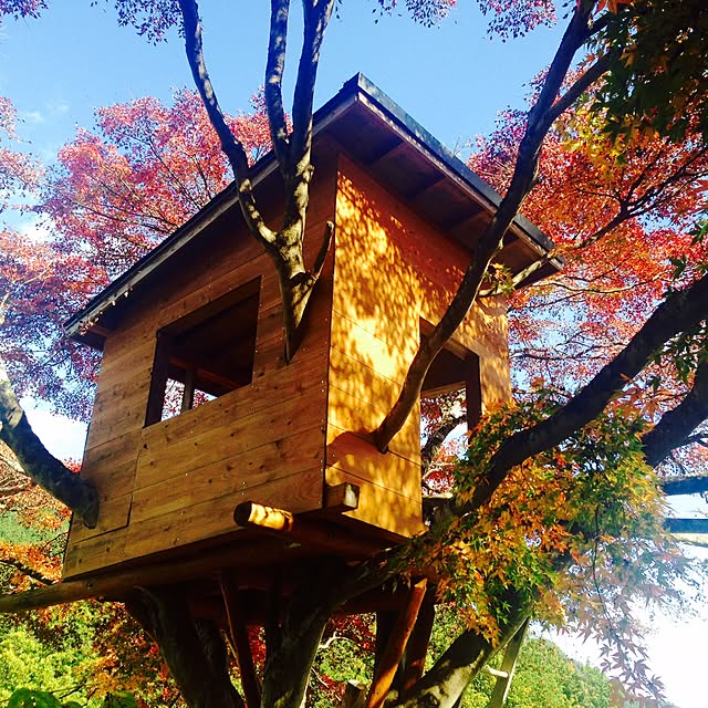 部屋全体のインテリア実例 - 2017-01-07 20:21:27