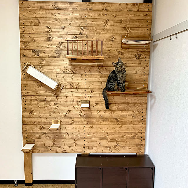 diyforcatsさんの実例写真
