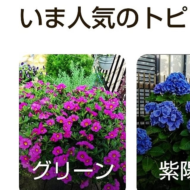 katさんの部屋