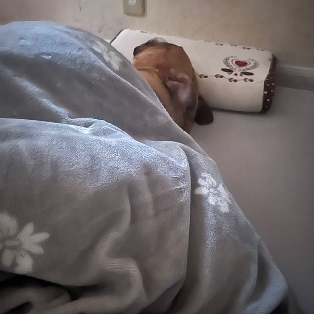 chi_gogaさんの部屋