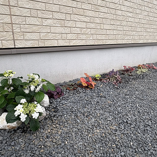 Haruさんの実例写真