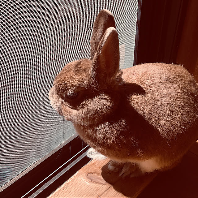 mimichankさんの実例写真