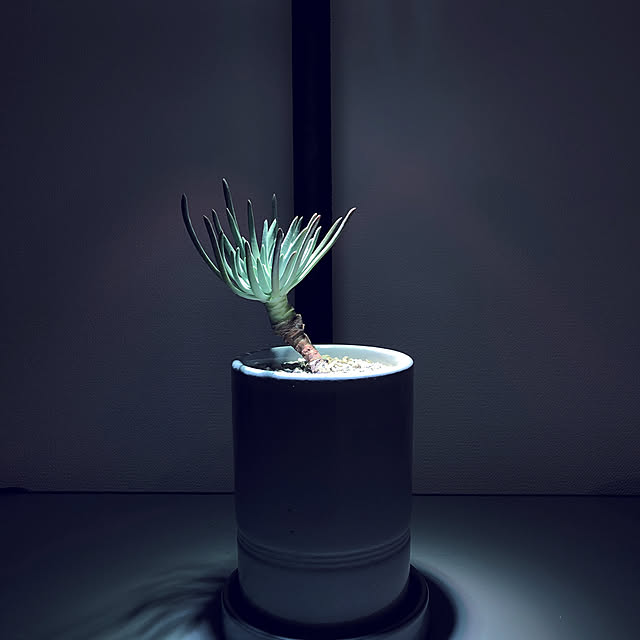 3851houseさんの実例写真