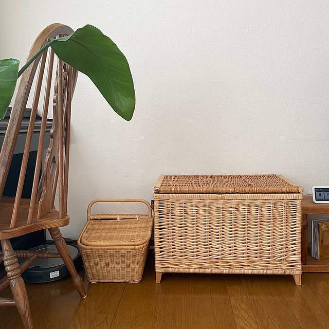 部屋全体/おもちゃ収納/リビングおもちゃ収納/賃貸インテリア/海外インテリアに憧れる...などのインテリア実例 - 2025-01-26 17:28:13