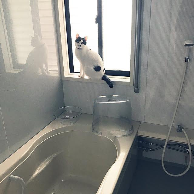 バス/トイレのインテリア実例 - 2020-10-22 01:38:36