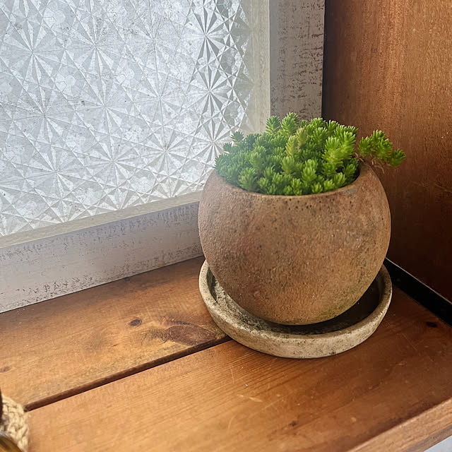 rookuさんの部屋