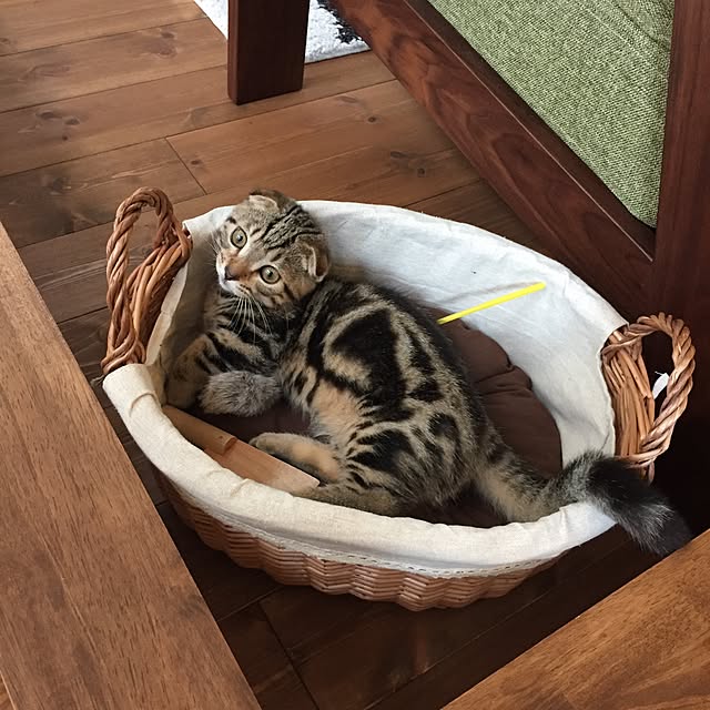 rinaaaa_1125さんの実例写真