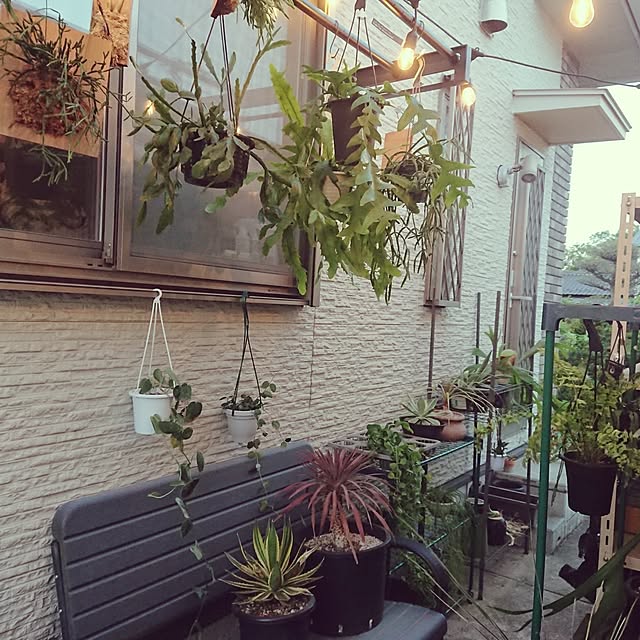 ot-gardenさんの部屋