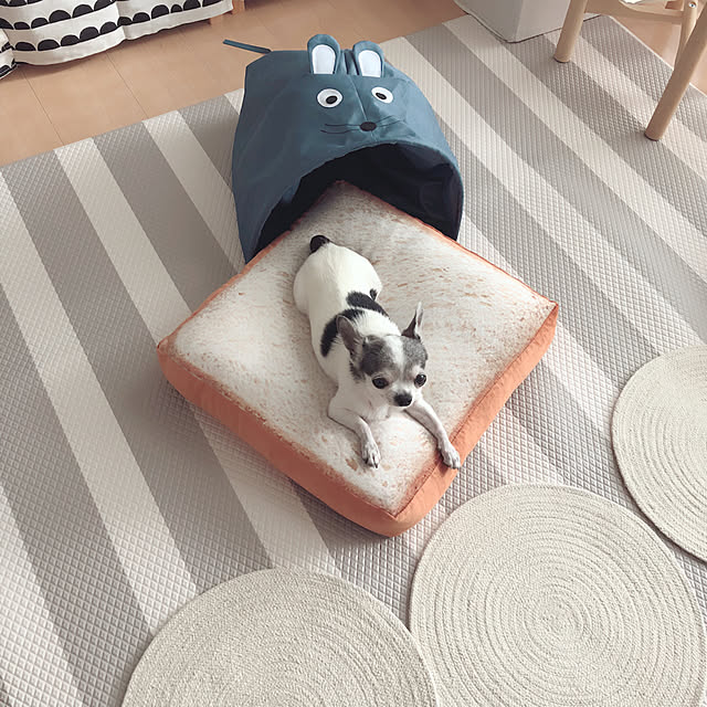 Emiさんの実例写真