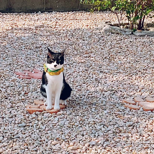 moolさんの部屋
