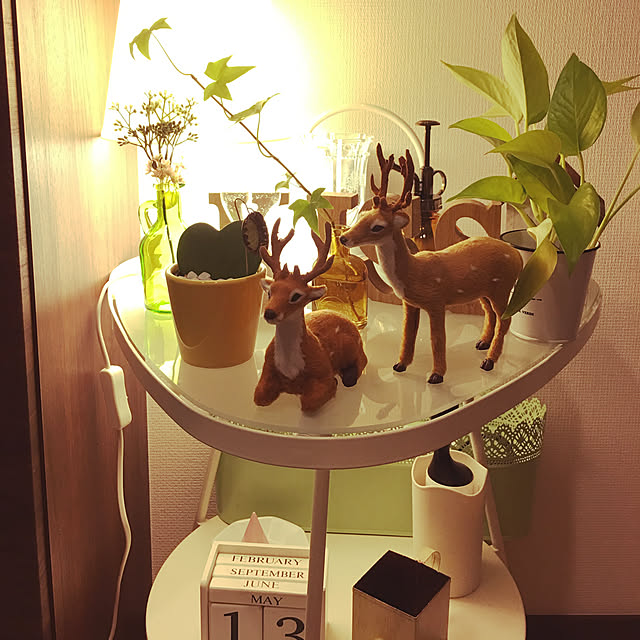pumielilyさんの実例写真