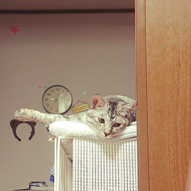 mikanさんの実例写真