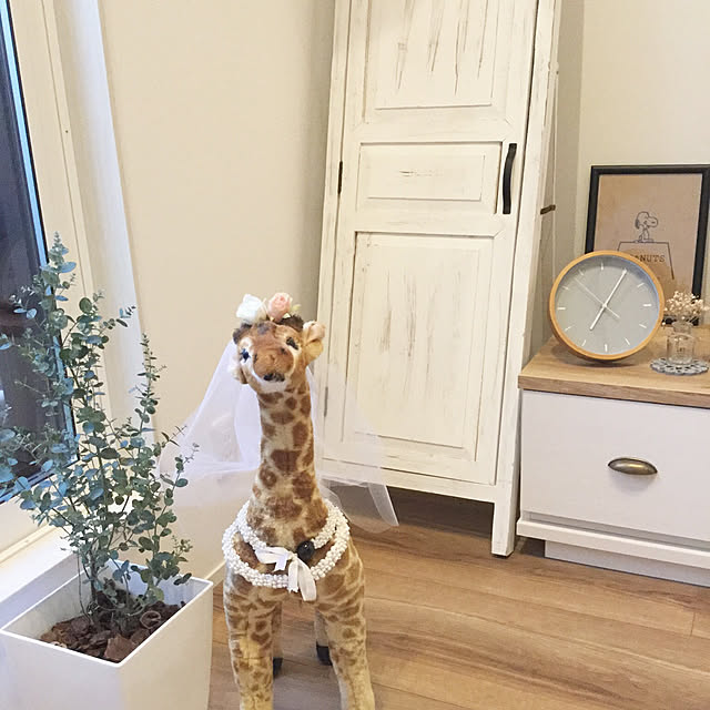 jillさんの実例写真