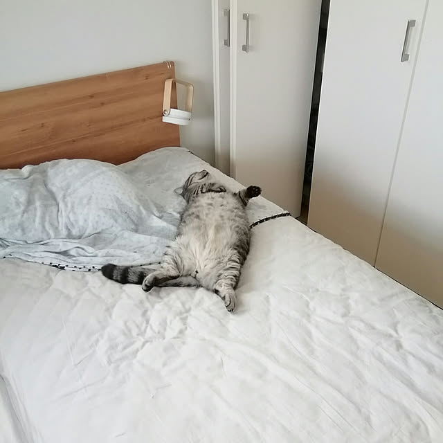 marutinoさんの実例写真