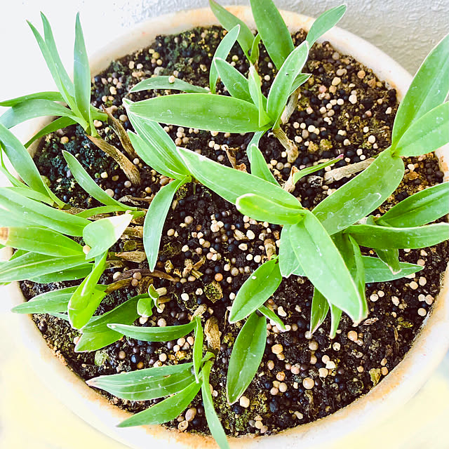 hanachanさんの部屋