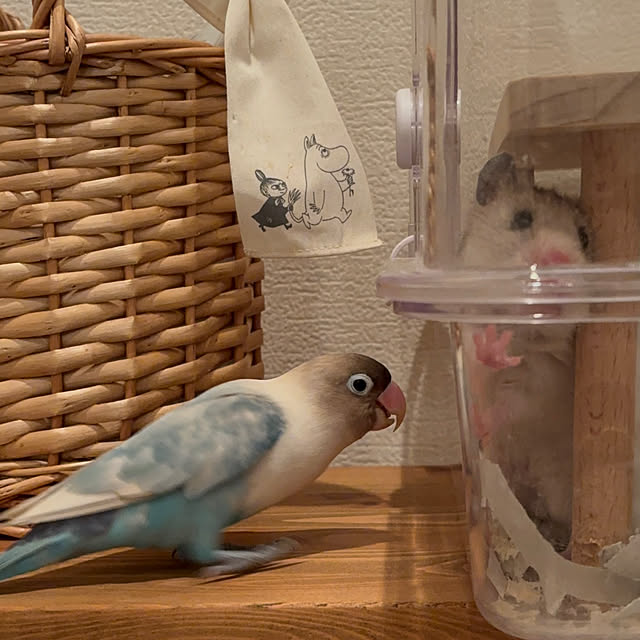 sakiさんの部屋