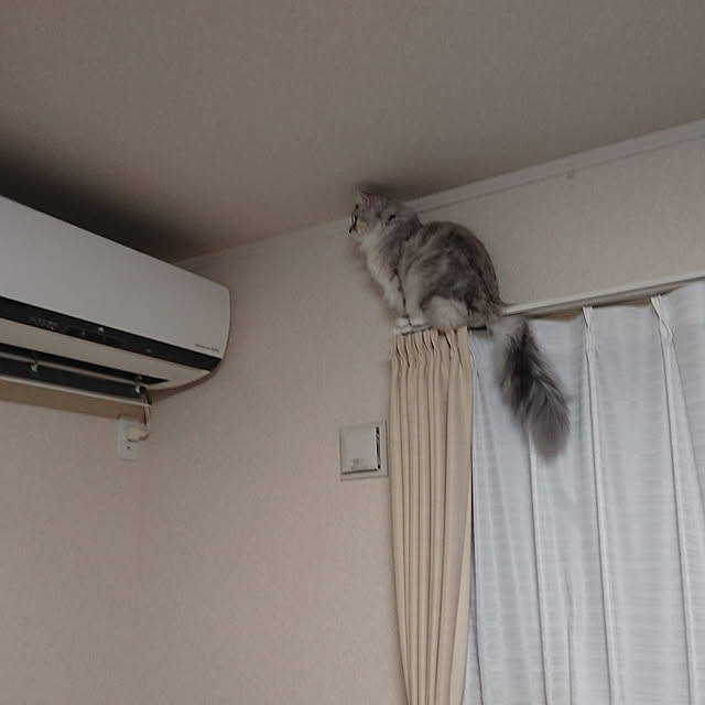 ayoさんの実例写真