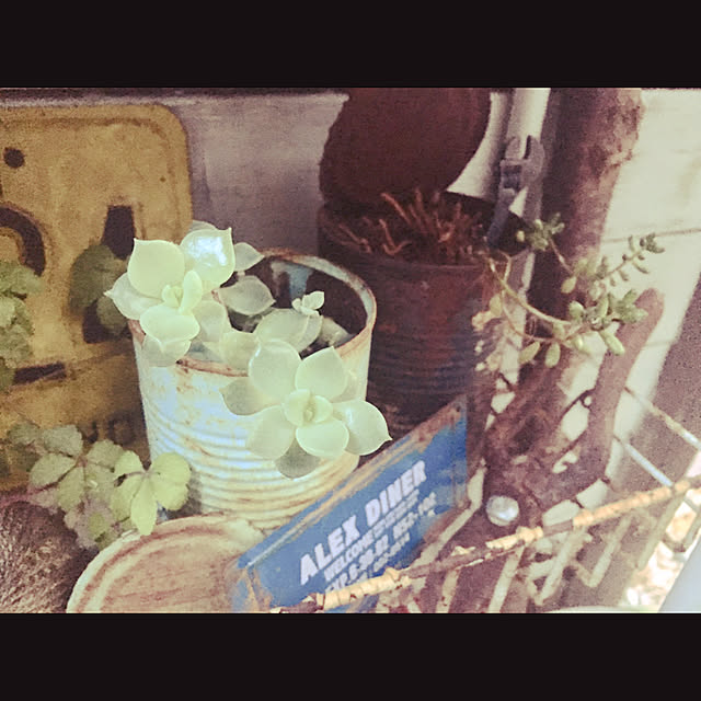 marusanさんの実例写真