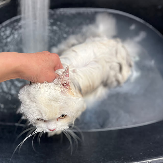 AYUKOさんの実例写真