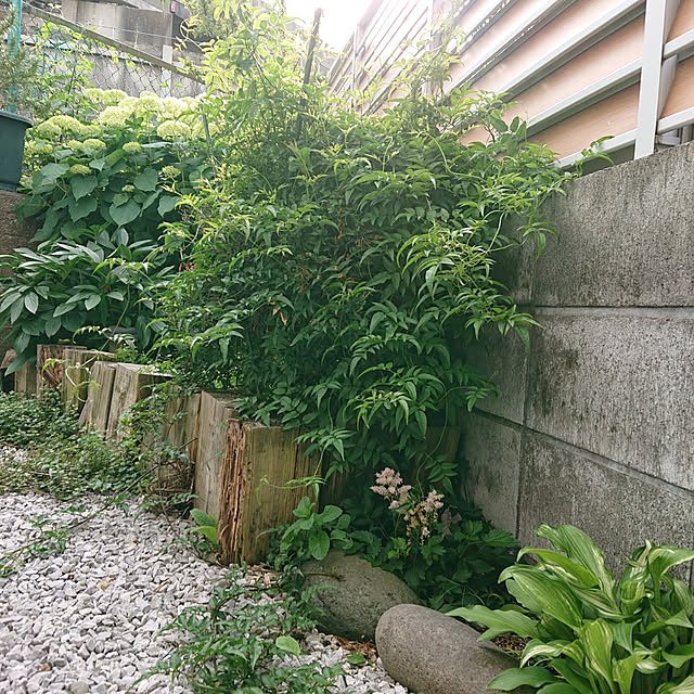 chikoさんの実例写真