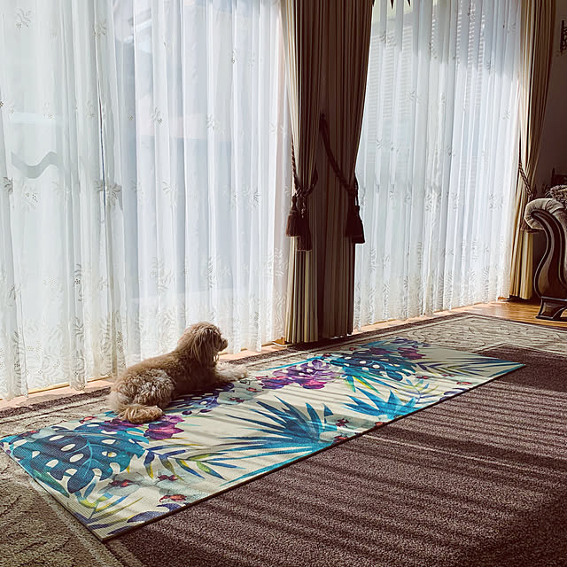 kochimaruさんの実例写真