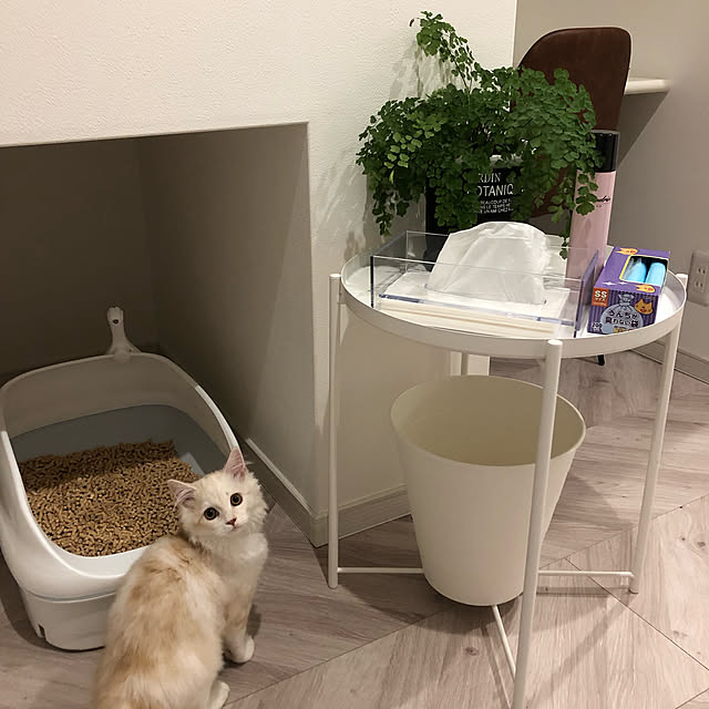 Rieduckさんの実例写真