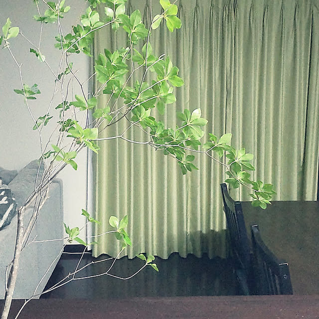 mska1114さんの実例写真