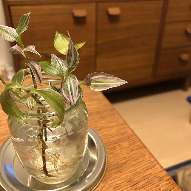 yus09さんの実例写真
