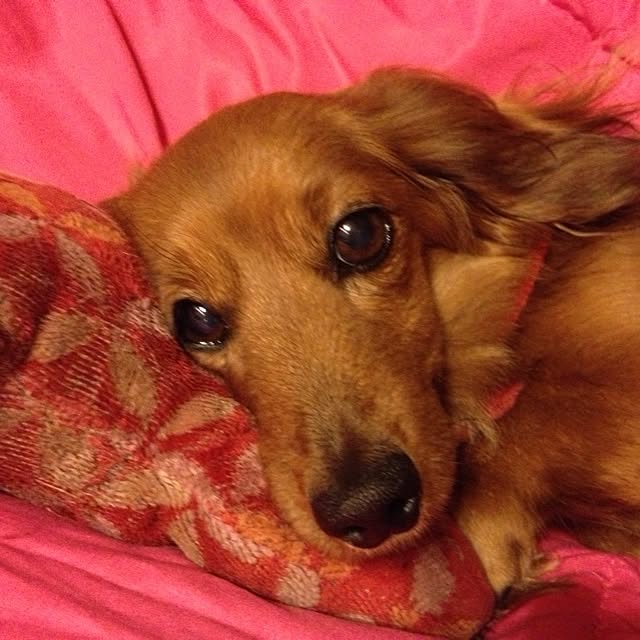 katsuwoさんの実例写真