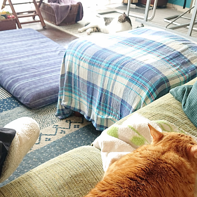 okyosan101さんの実例写真