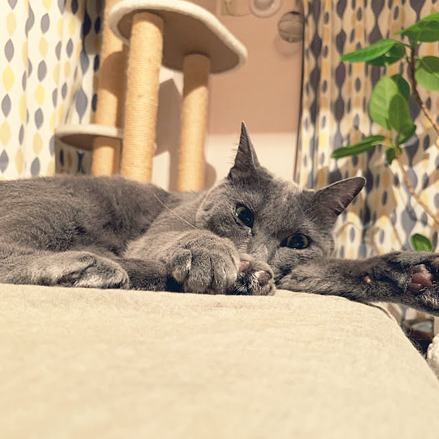 73さんの実例写真