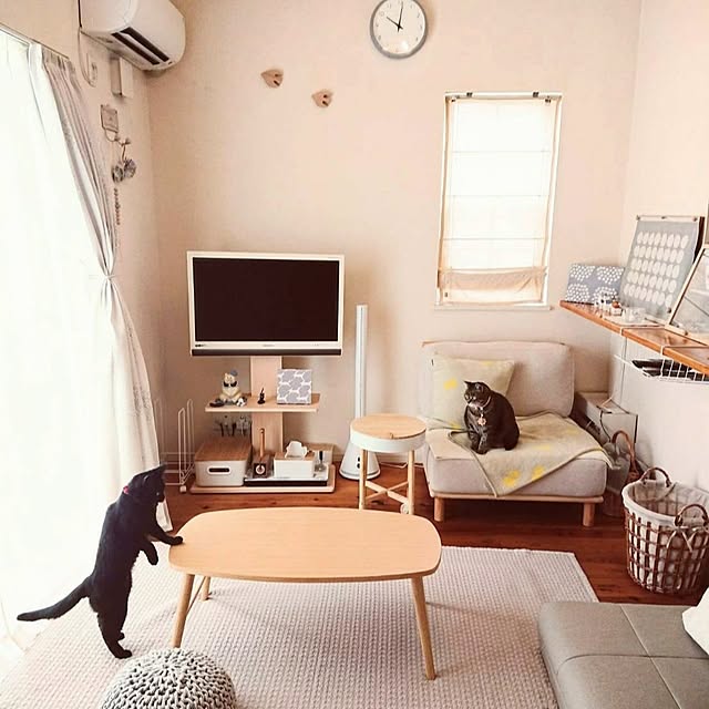 ruuさんの実例写真