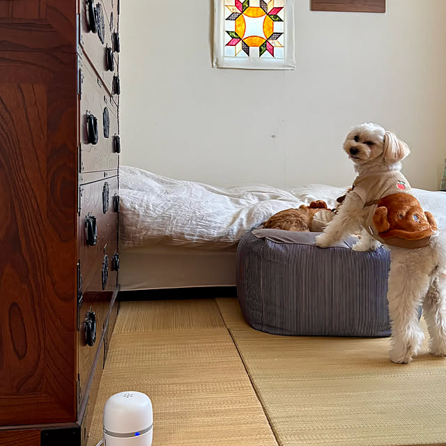 chachamamaさんの部屋