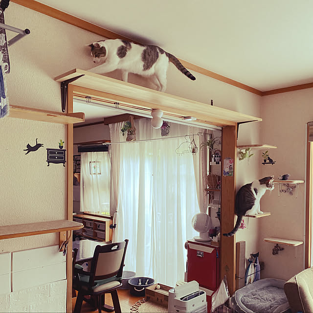 Lufuさんの実例写真