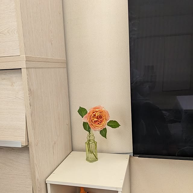 chiz3さんの部屋