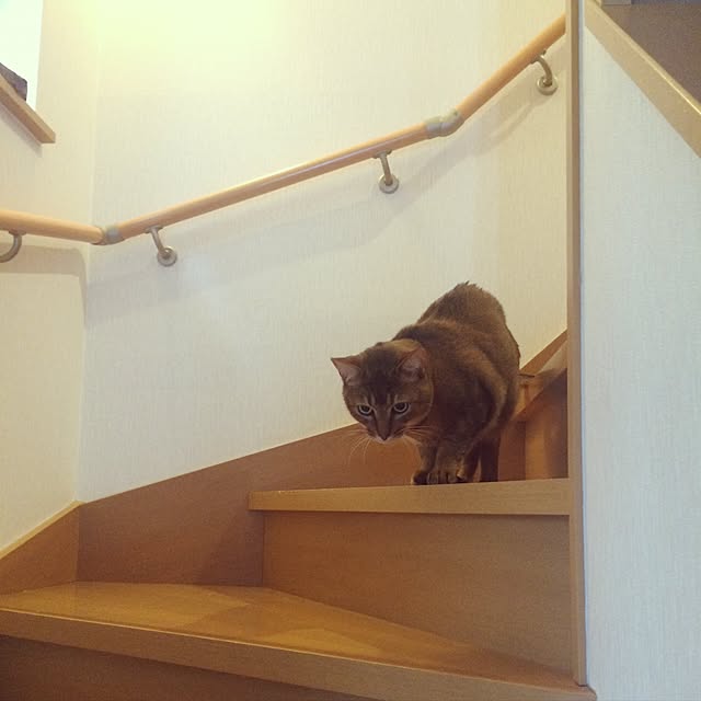 Yumiさんの実例写真