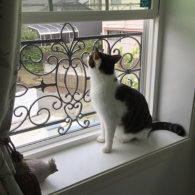 yuchiさんの実例写真