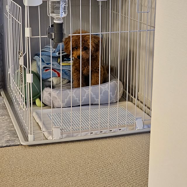 Pokoさんの部屋
