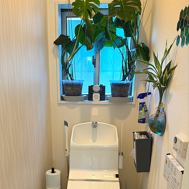 MOMOMAMAさんの実例写真