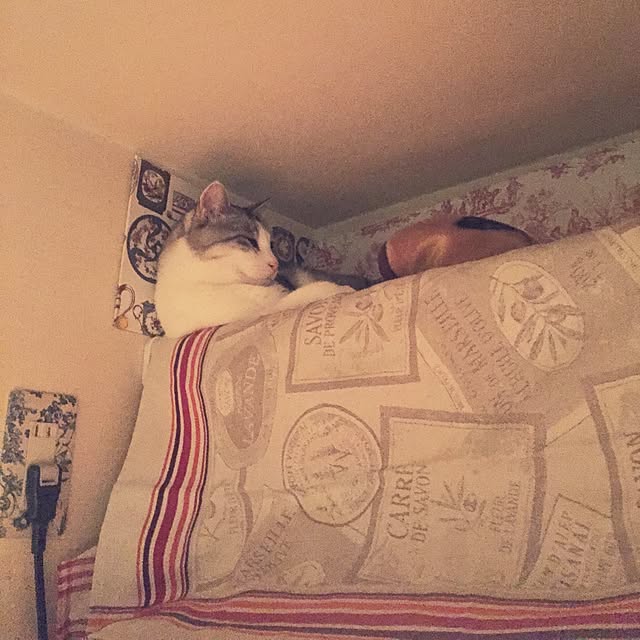 emmyyさんの実例写真