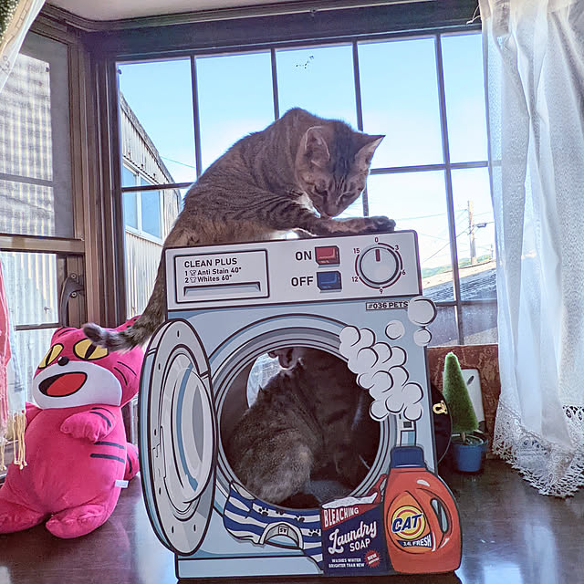 uchizukonyanさんの実例写真