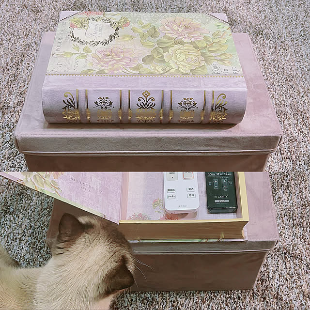 Nylさんの実例写真