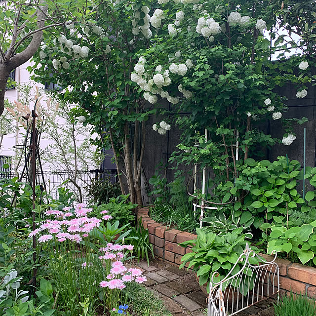 ponyoさんの部屋