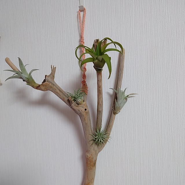 takabooさんの部屋