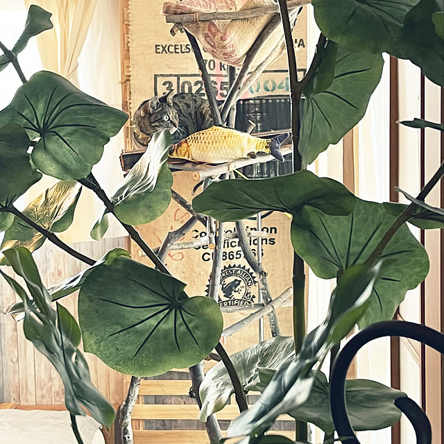 Mさんの実例写真