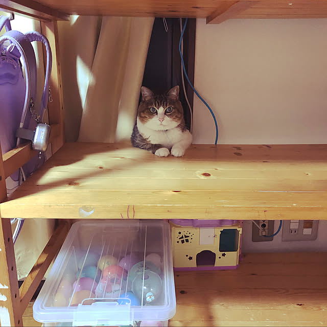 chacoさんの実例写真