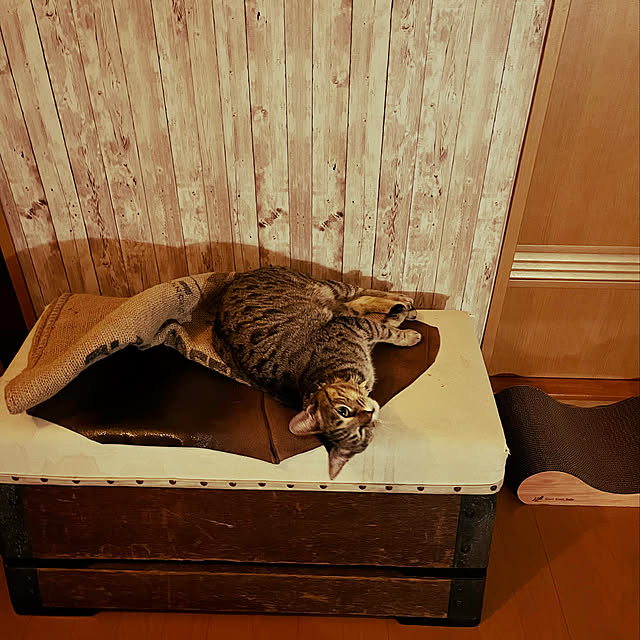 Mさんの実例写真