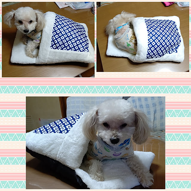 yumirinさんの実例写真