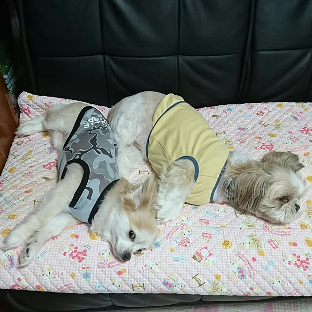 ronさんの実例写真
